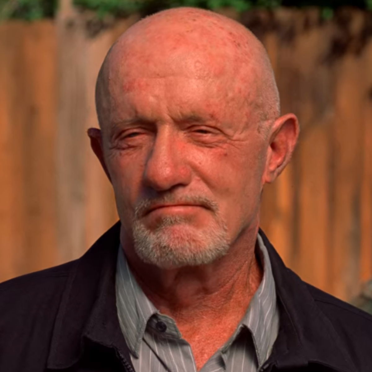 Jonathan Banks as Mike in Breaking Bad Season 5