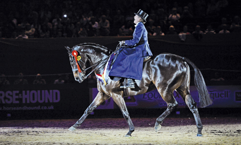 2010: Dunbeacon, ridden by Katie Jerram