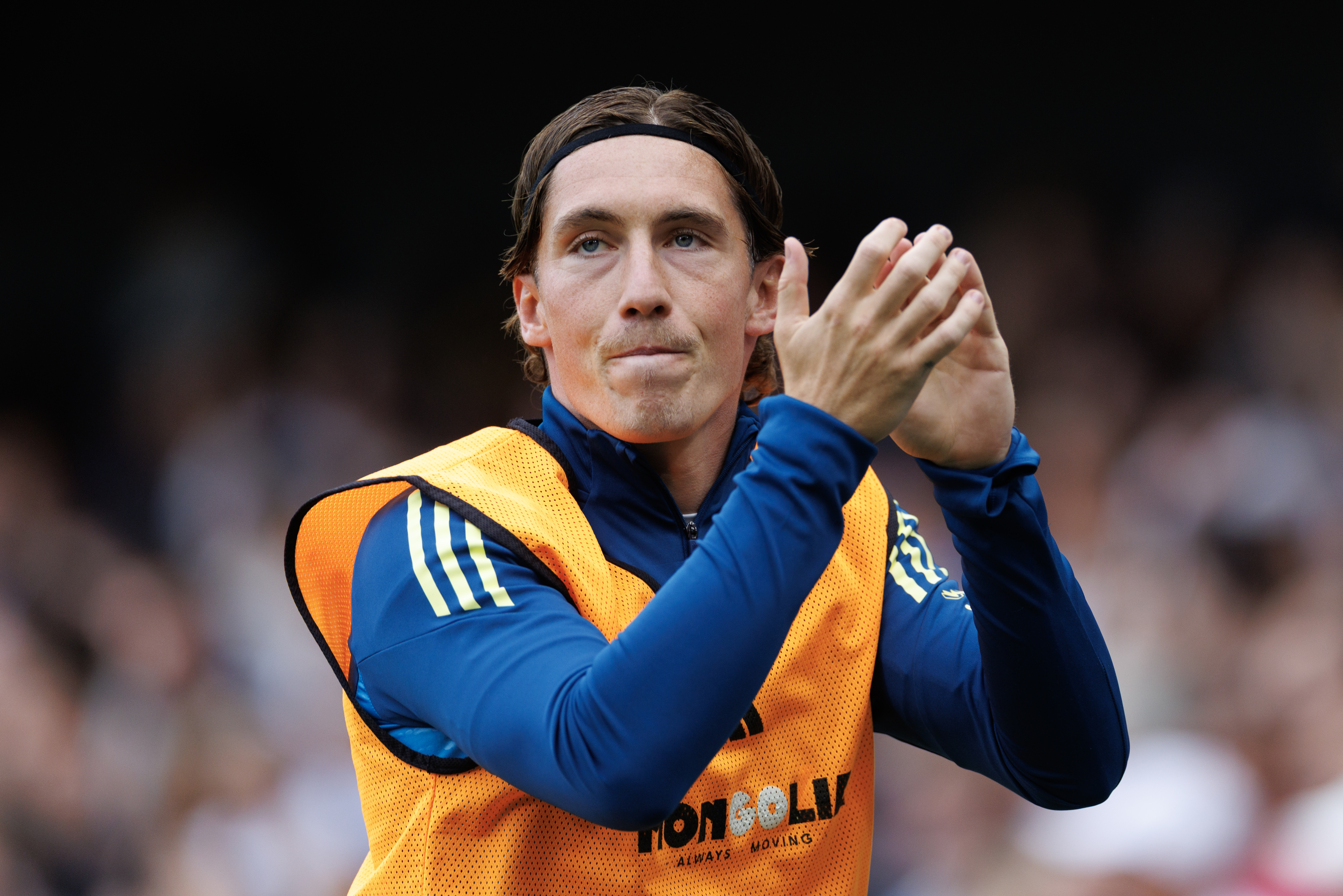 Fulham and Wales winger Harry Wilson