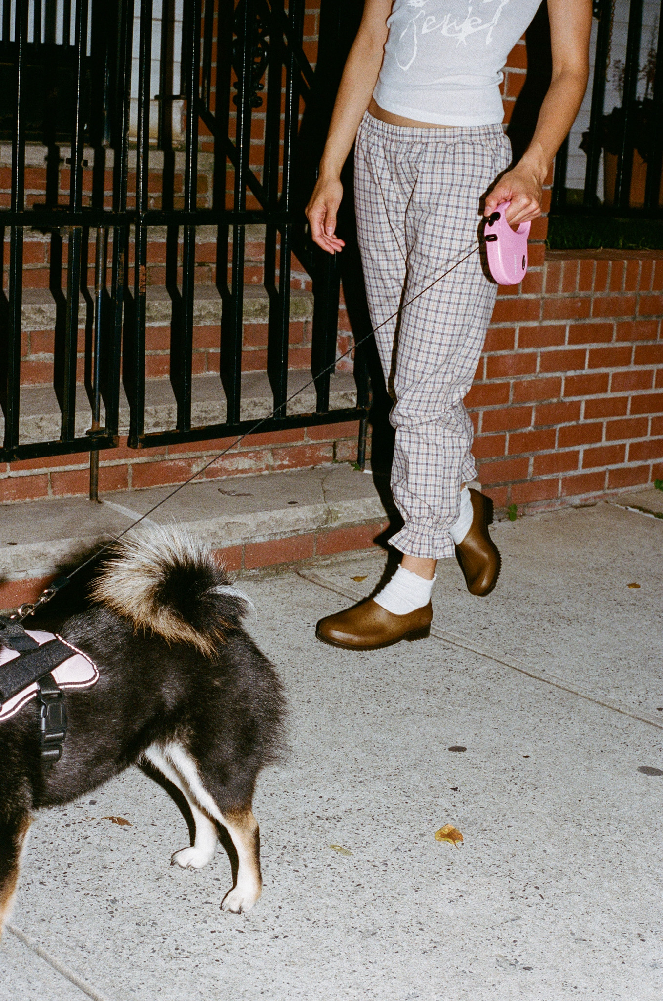 a photo from Salter House of a model wearing brown Plasticana Gardana clogs and walking a dog
