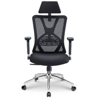Ticova Ergonomic Office Chair: $249