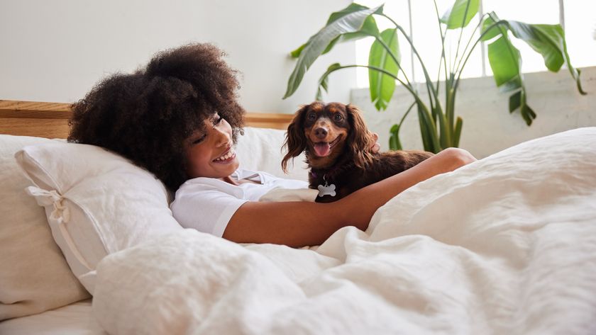 Woman and dachshund in bed