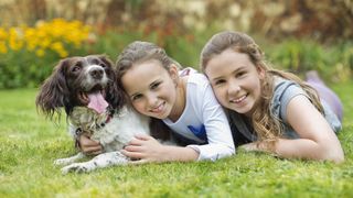 English springer spaniel with two girls hugging