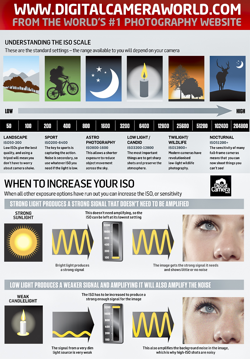 Photography cheat sheet: How to understand ISO settings | Digital ...