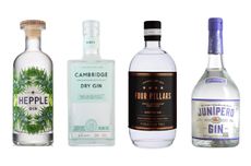 Best Gins for Martini