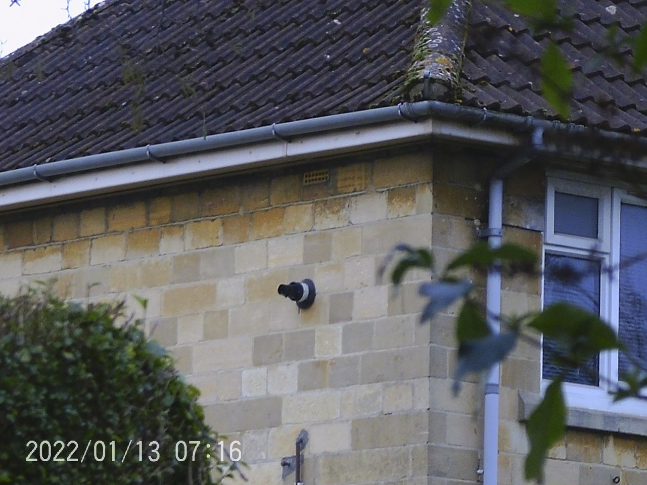 Sample images from the Camonity 12x32 binoculars