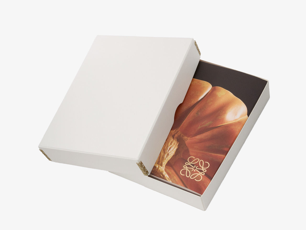 Loewe Crafted World Book