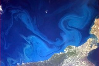 Surreal Swirls in the Black Sea