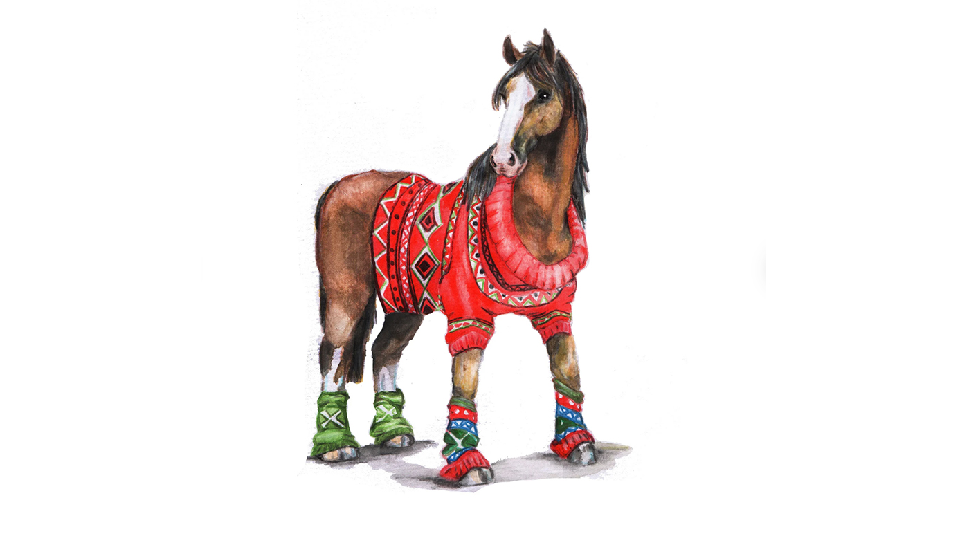 Horse in Christmas jumper card design