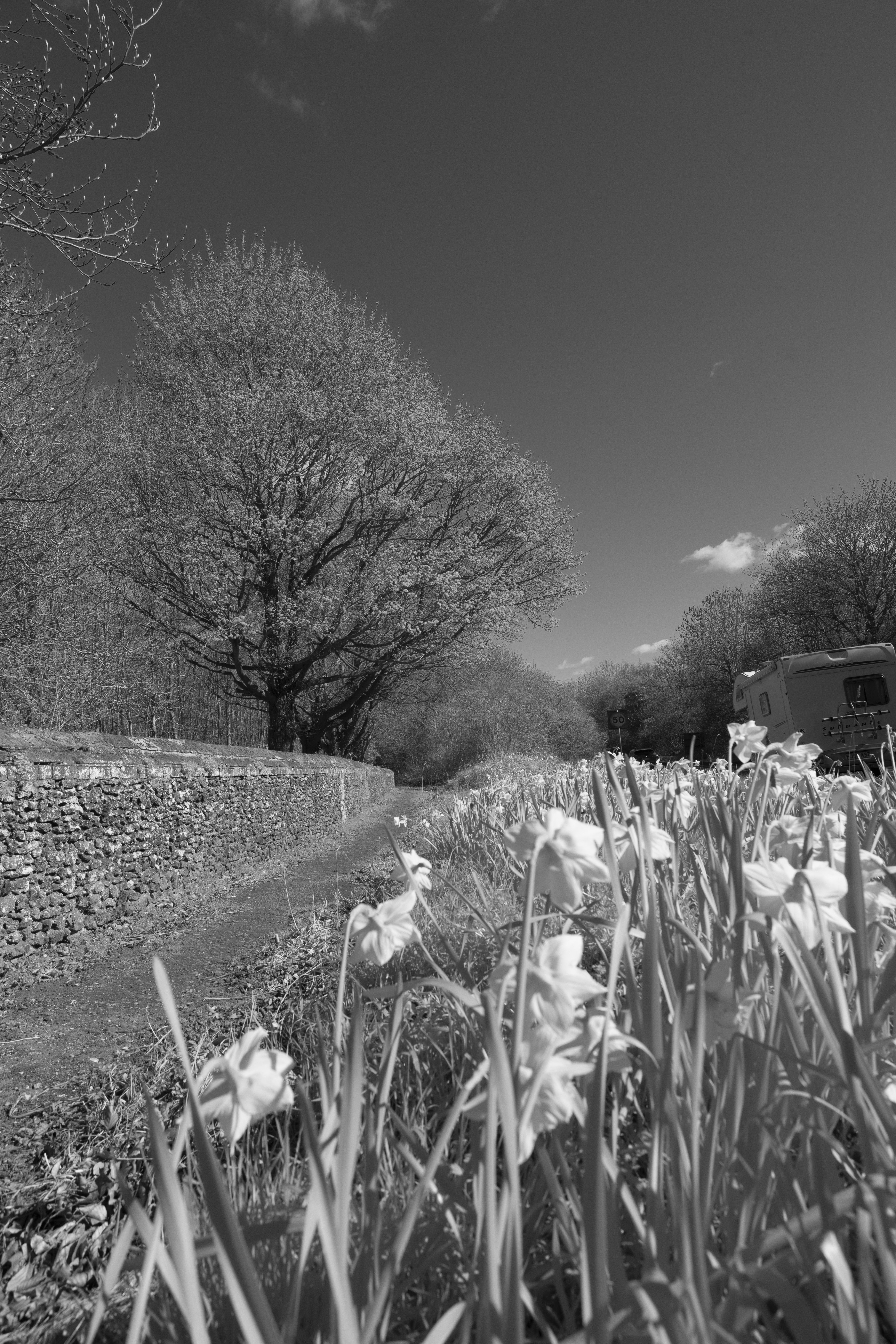 Cokin Nuances Infrared 720 89B