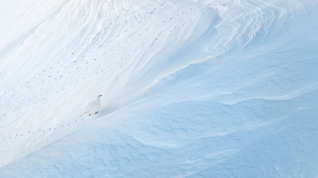 A winning image from the GDT Nature Photographer of the Year