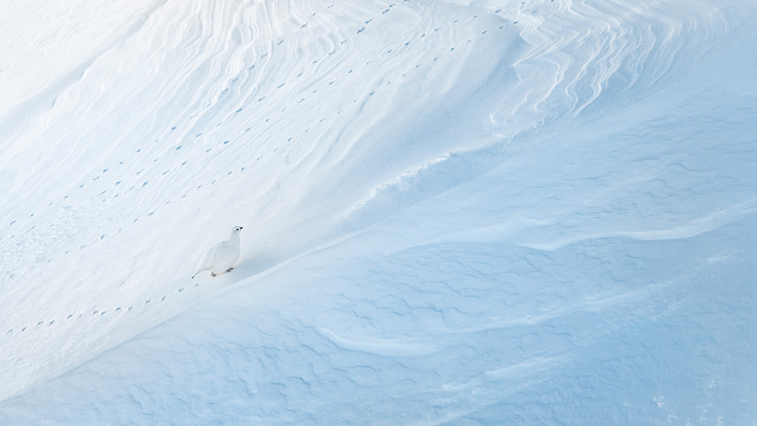 A winning image from the GDT Nature Photographer of the Year