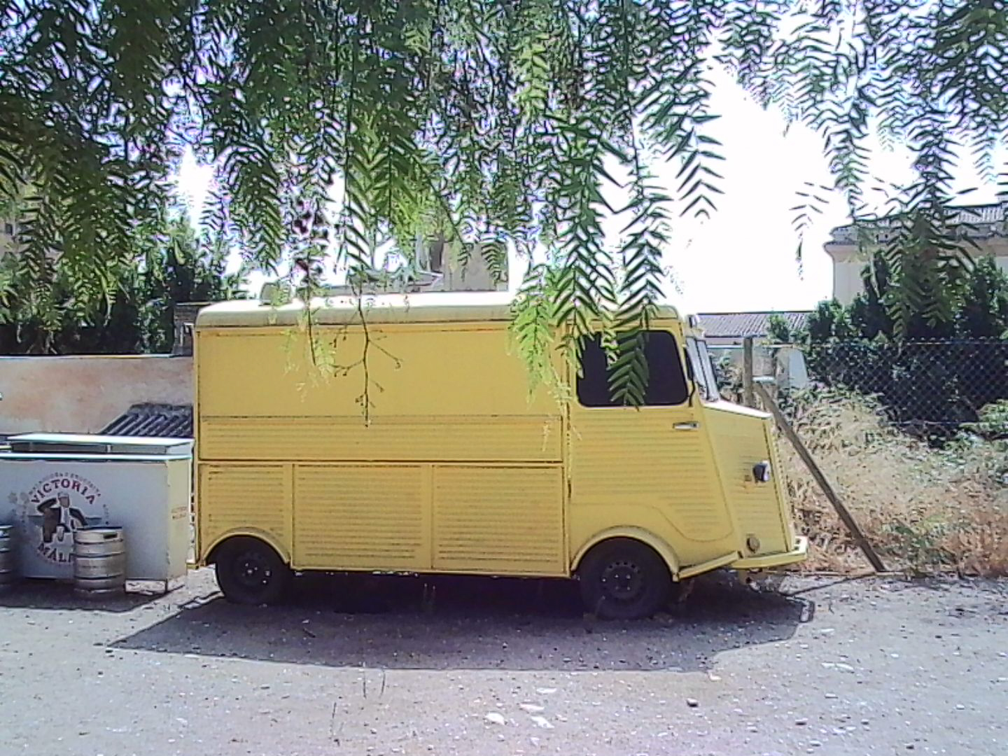 Sample image shot with Kodak Charmera