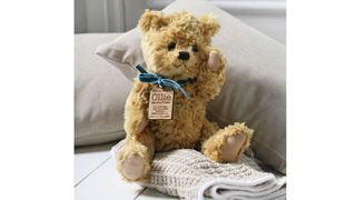 Personalized new baby teddy bear from Not on The High Street