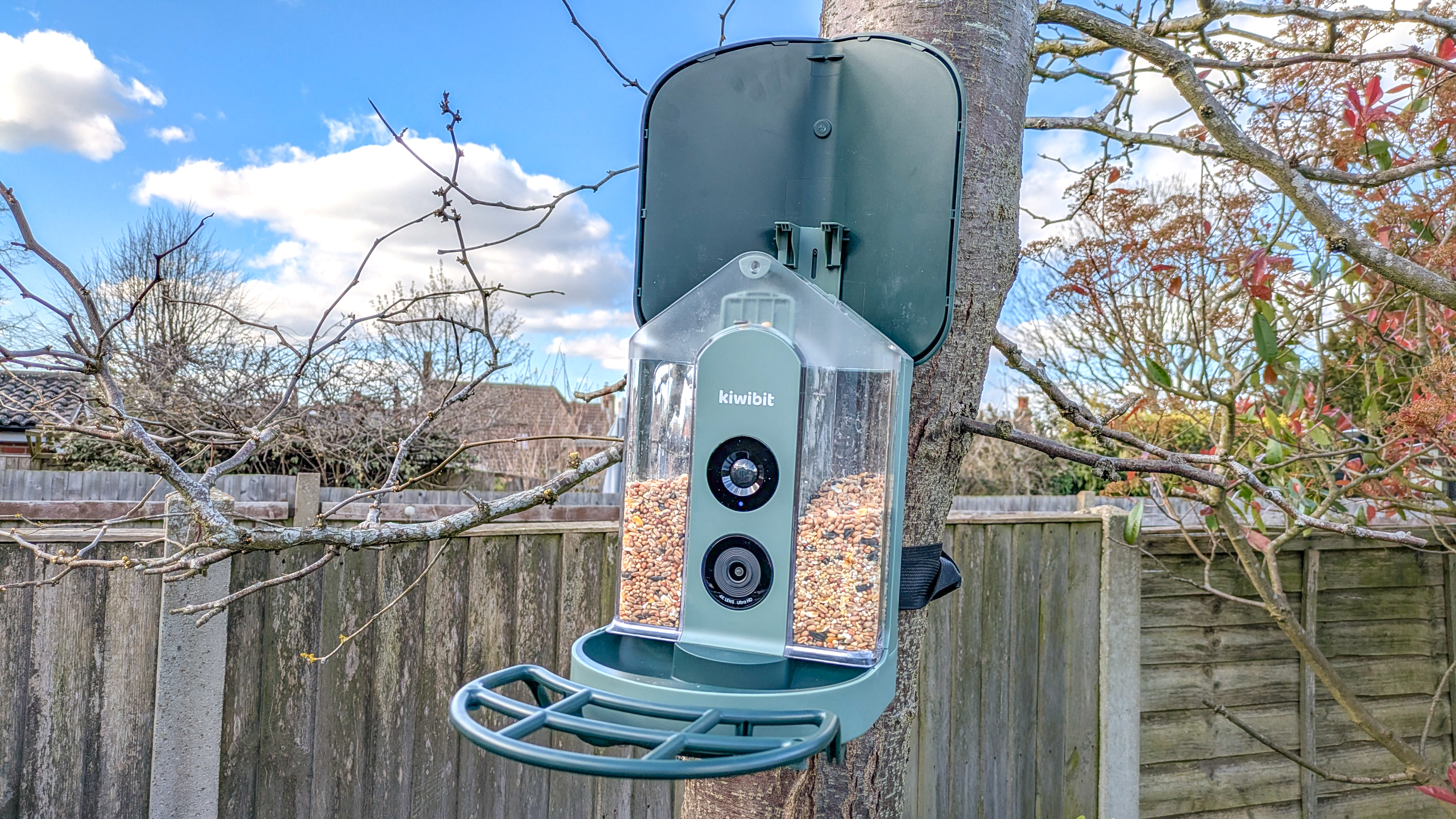 Kiwibit Bird Feeder 2