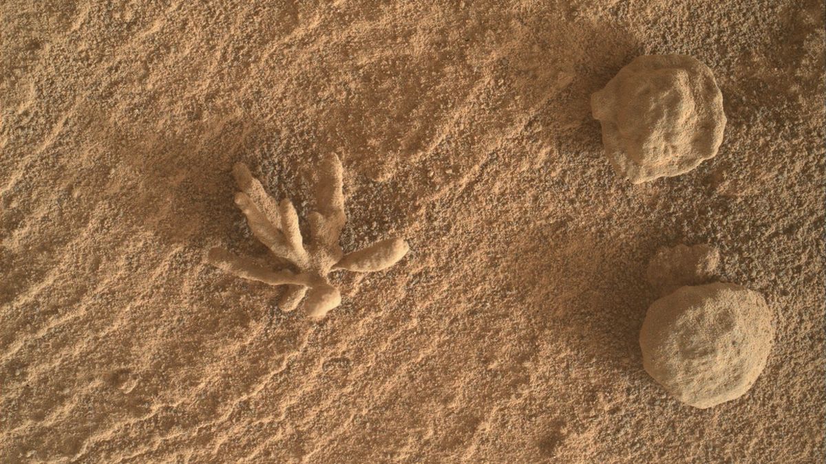 Curiosity Rover melihat dari dekat ‘bunga mineral’ kecil di Mars