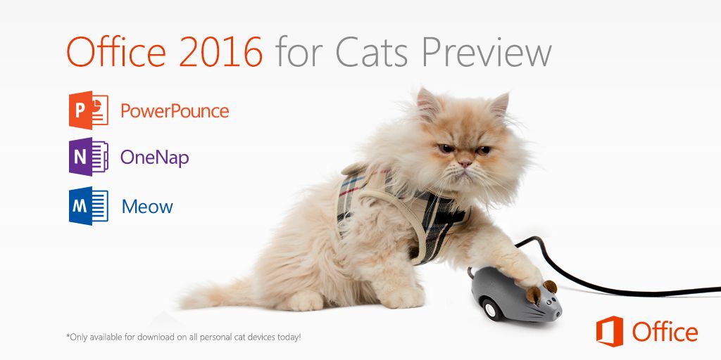 Office For Cats 2015