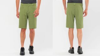 Salomon Wayfarer shorts