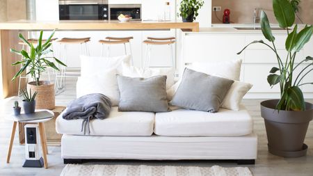 Gray couch in living room with white area rug