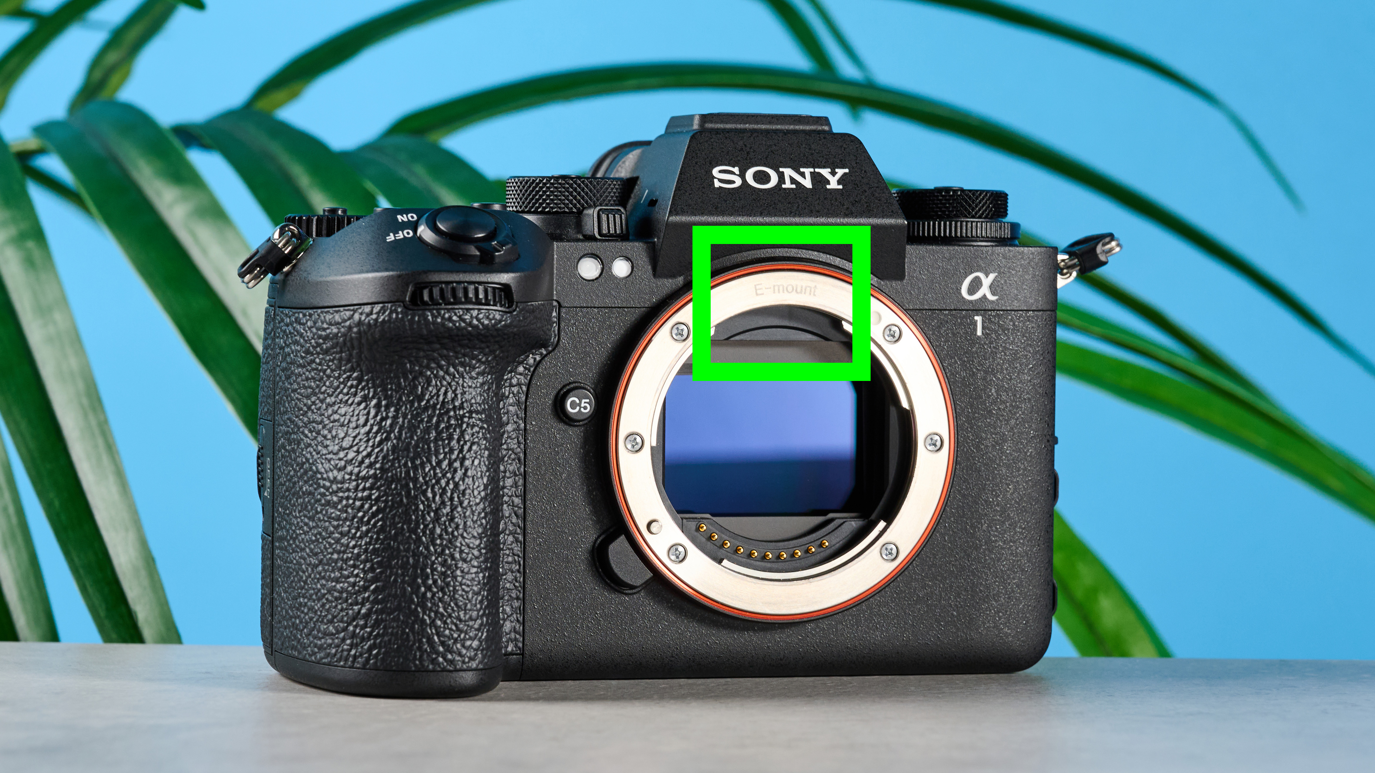 Sony A1 II