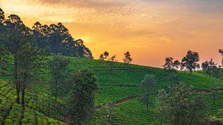 Ooty, Tamil Nadu