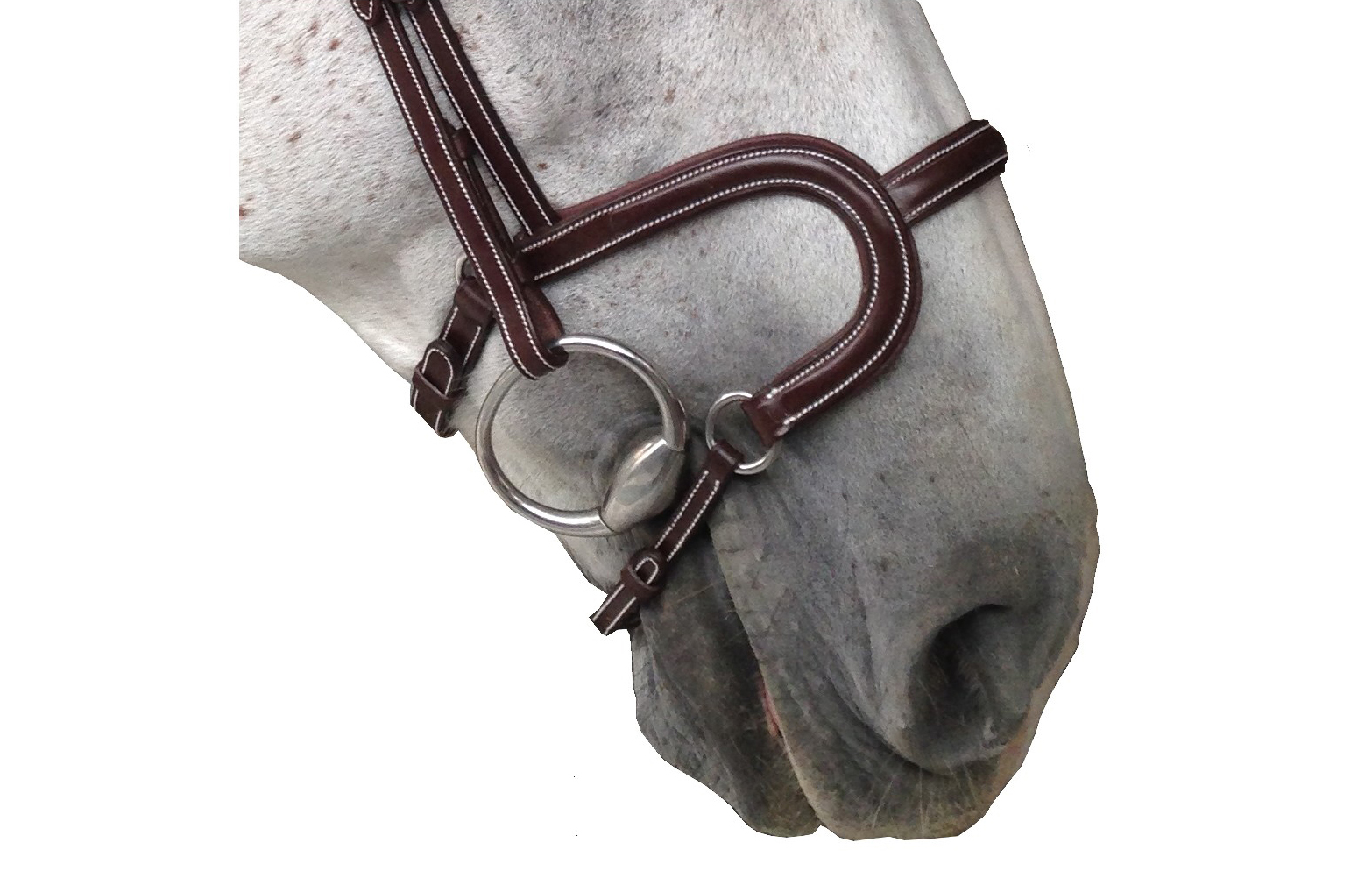 Silver Crown H Noseband