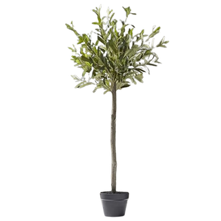 Cox and Cox faux olive tree