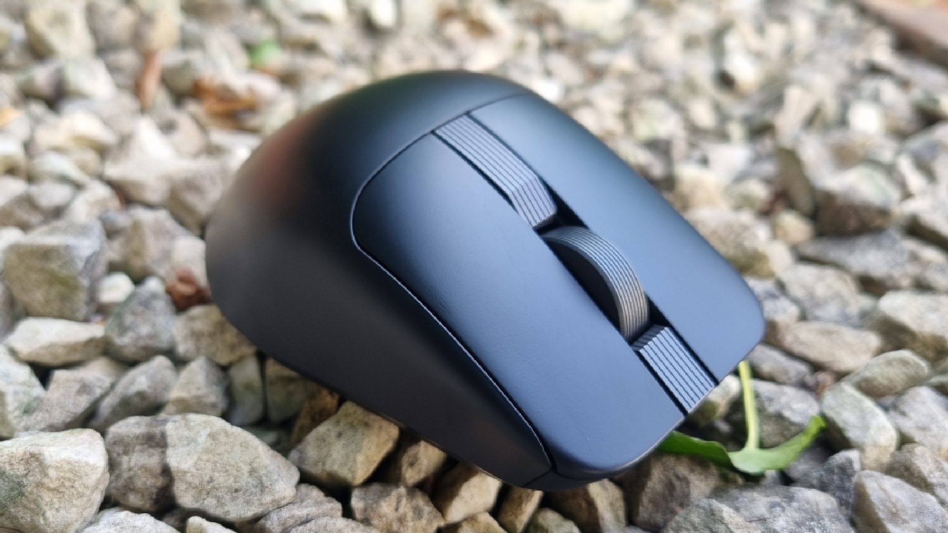 An Asus ProArt Mouse MD301 on white gravel, next to a green leaf