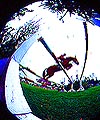 3E06FC47-997B-4259-9AA5-592F376ADE6D.jpg