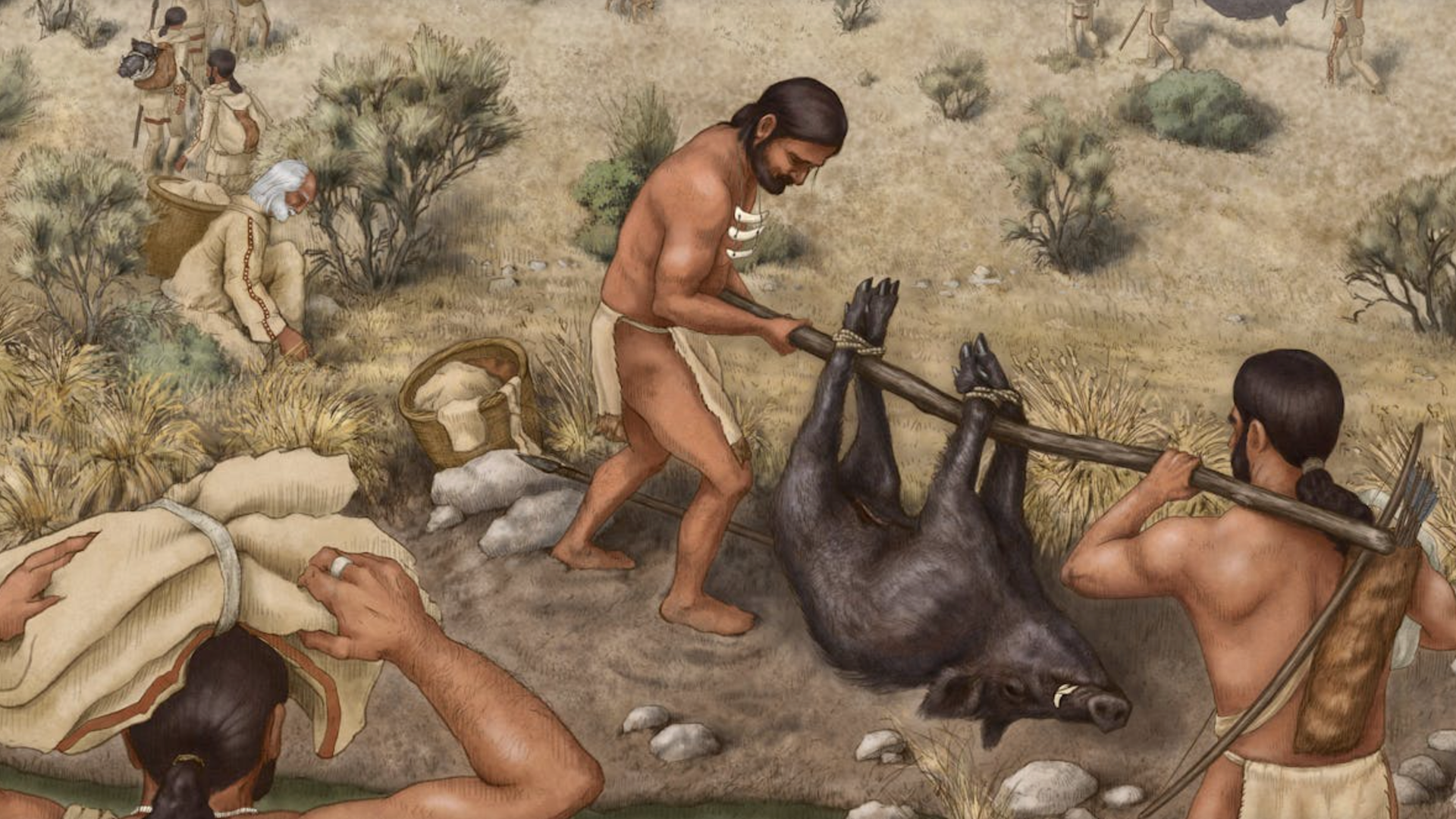 an illustration of ancient humans carrying a wild boar