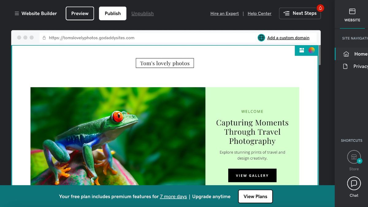 Screengrab showing AI-generated template for website featuring image of a frog