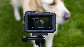 DJI Osmo Action 4 camera on a selfie stick with dog in background