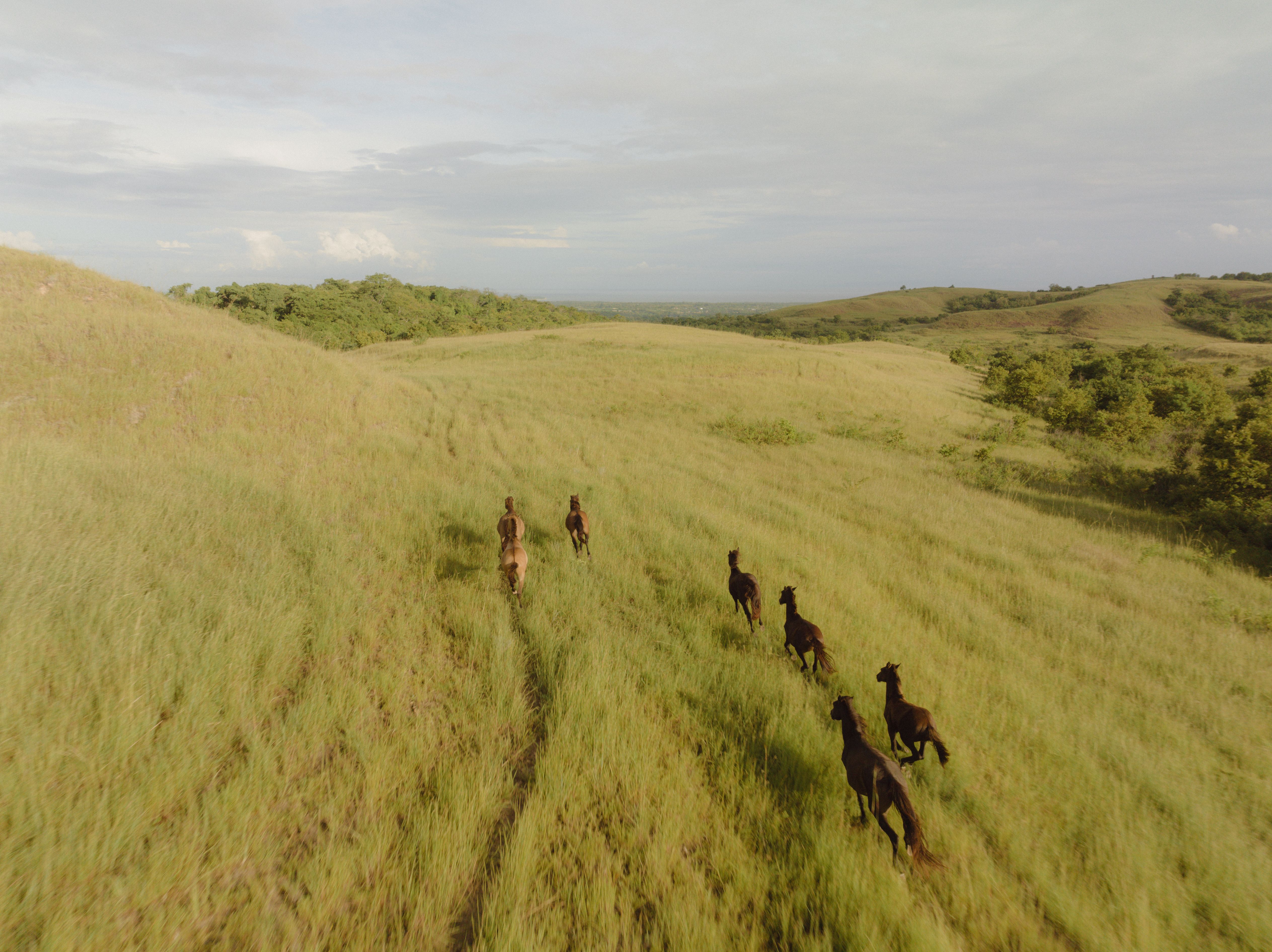 do luxury hotels need a farmer in residence