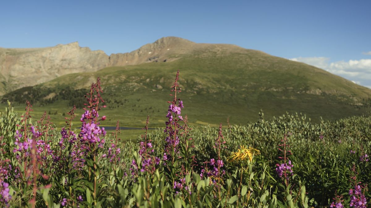 colorado 14ers