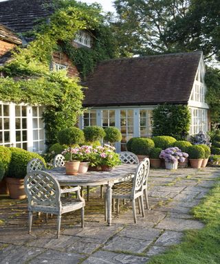A patio with garden furniture and a line of potted topiary shrubs and flowering bushes between the patio area and house