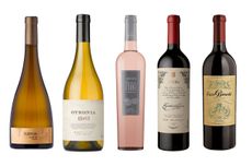 Argentina wines