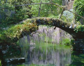 The garden was created by the Caetani family, using existing features such as this medieval bridge covered in wisteria.