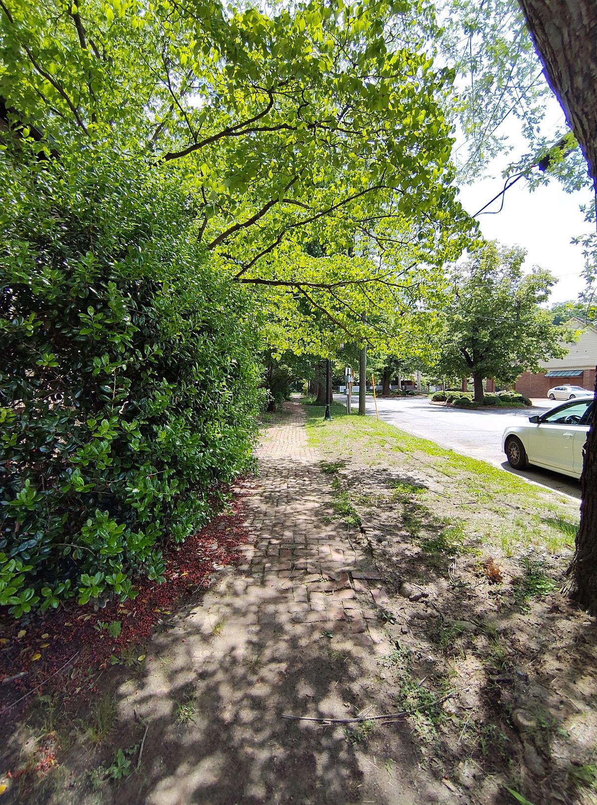 A camera sample taken from the Fairphone 6's ultrawide camera