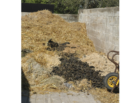 muck-heap-new2.jpg
