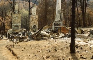 Mount Macedon after the Ash Wednesday bushfires in 1983 which followed another big El Nino event.