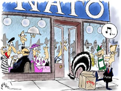 Political Cartoon U.S. Trump NATO summit Putin skunk