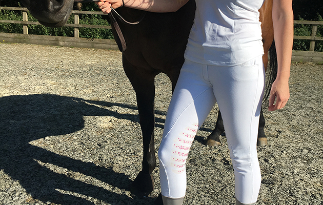 tottie-breeches-3