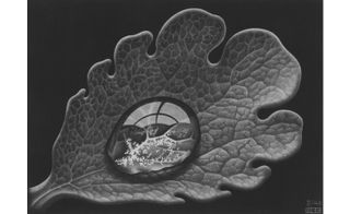 Drop (Dewdrop), 1959 by MC Escher