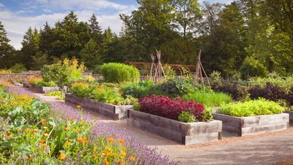 raised garden bed ideas made from sleepers in vegetable garden