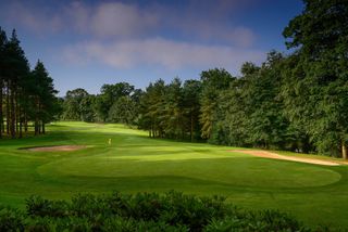 The 6th hole at Malone Golf Club