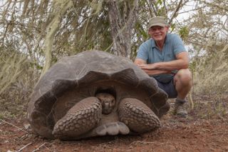 TV tonight Martin and a giant tortoise on the Galápagos Islands