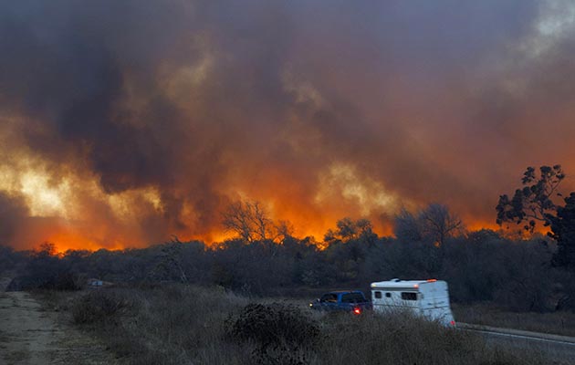 Wild fires