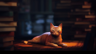 Orange cat from Stray lying down and squinting at the camera