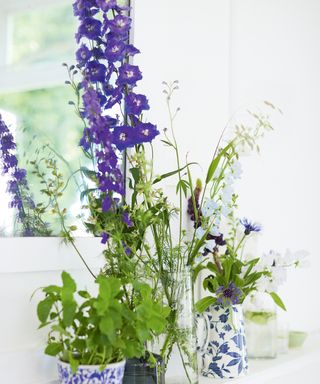 Homes & Gardens Flower of the Month, Delphiniums styled in a vase