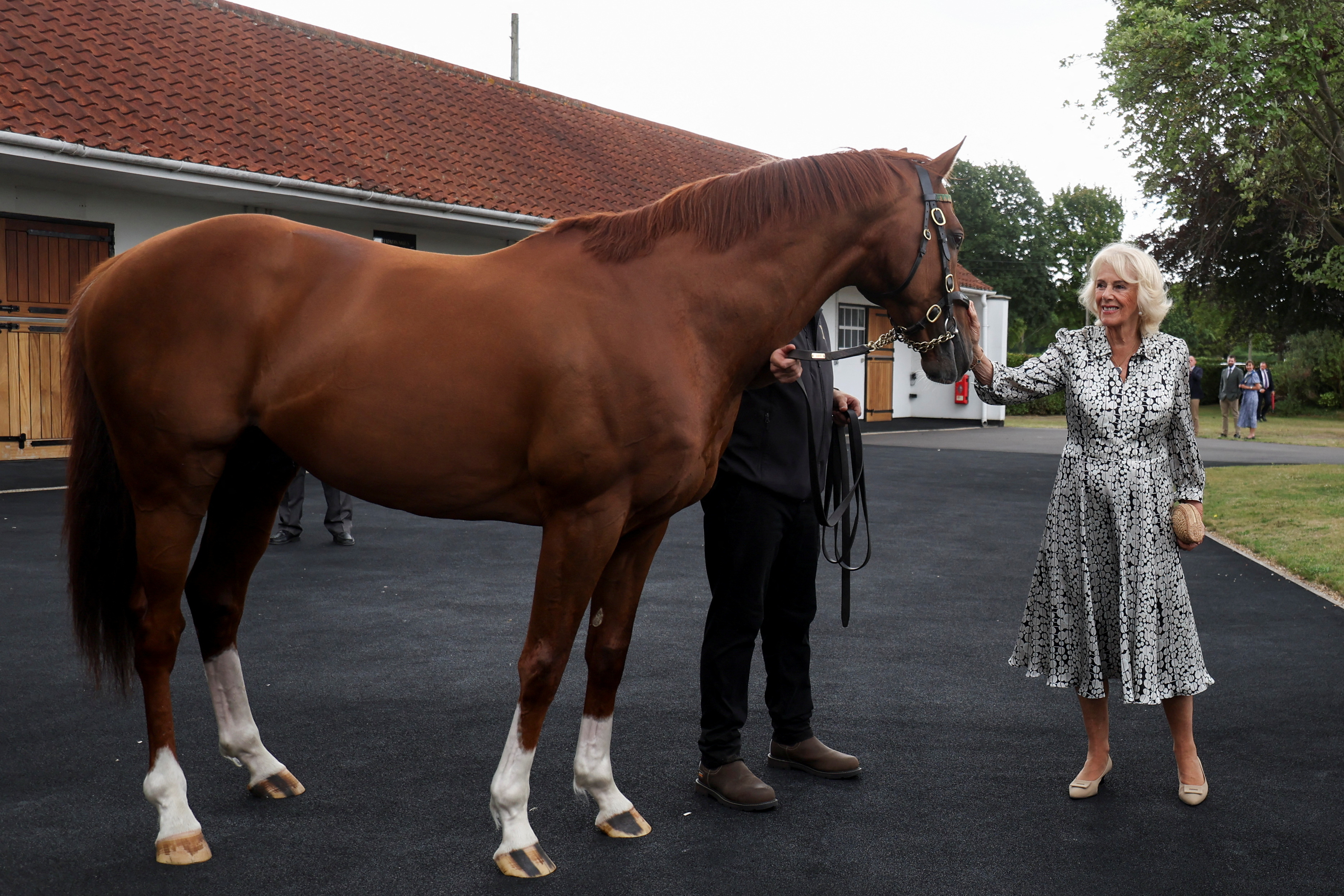 Queen Camilla wearing a printed dress petting a horse